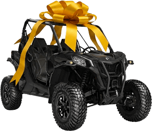 Regala una experiencia buggy