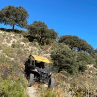 Offroad wildlife buggy trip