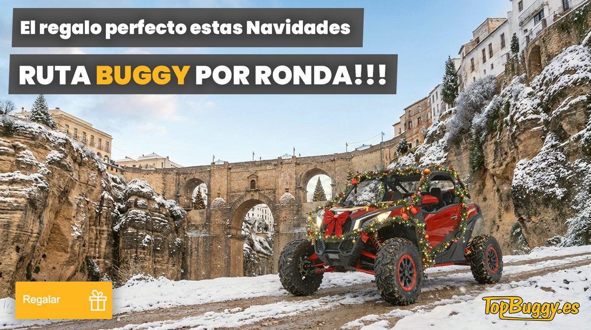 Regala una experiencia buggy