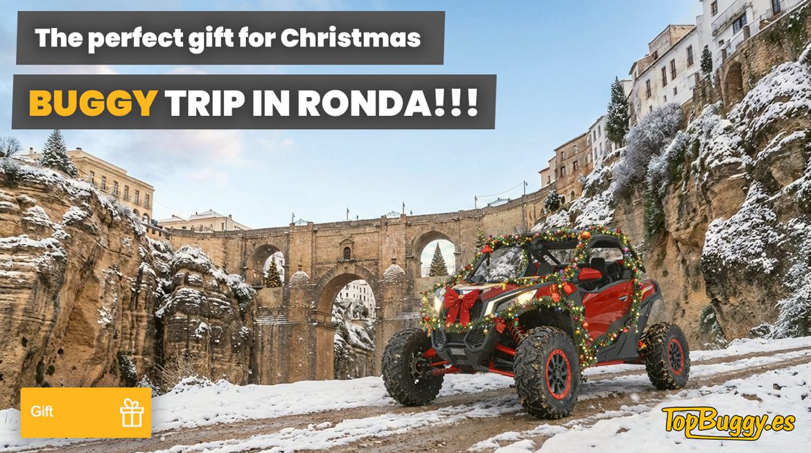 Gift a buggy experience
